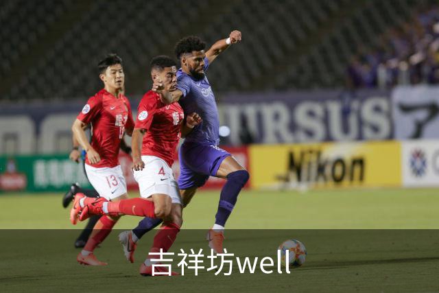 吉祥坊well公司介绍